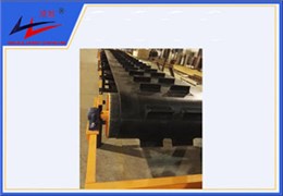 海洋之神-横隔板式运送机