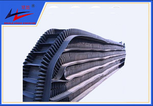 海洋之神-波状挡边运送带